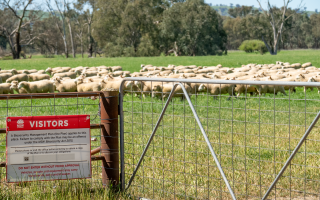 If you missed our biosecurity webinar, watch it now