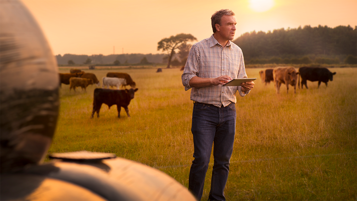 New data exchange to revolutionise Australian agrifood sector