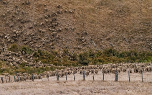 Green drought continues to impact southern states