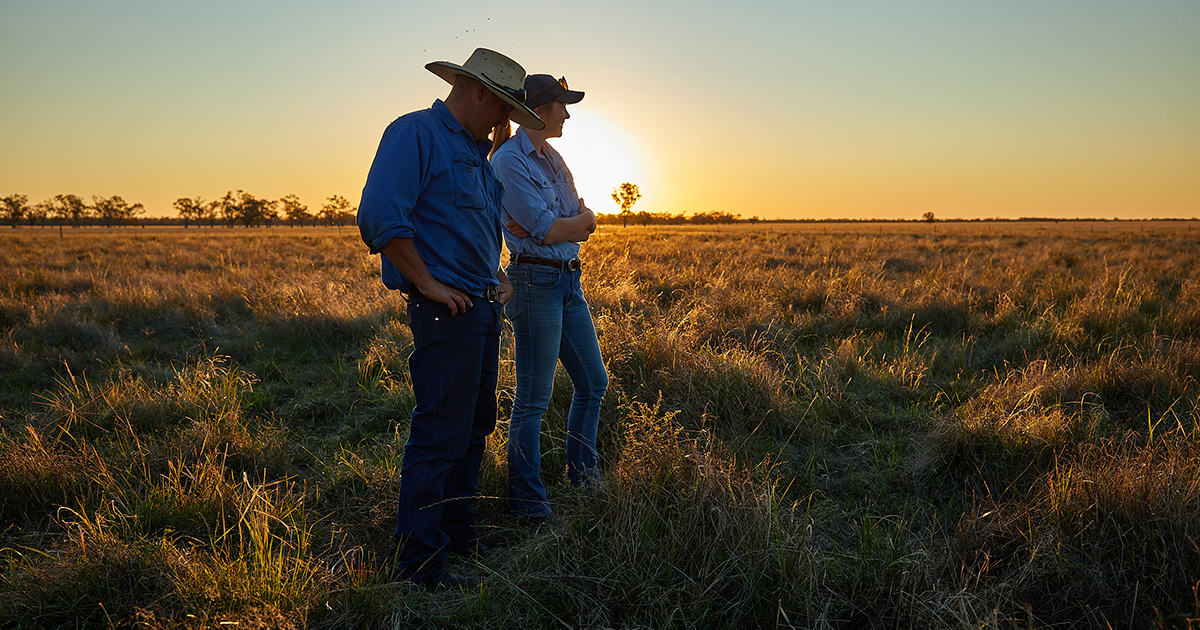 Seven things you’ll learn about ISC and Australia’s integrity system at the MLA Updates