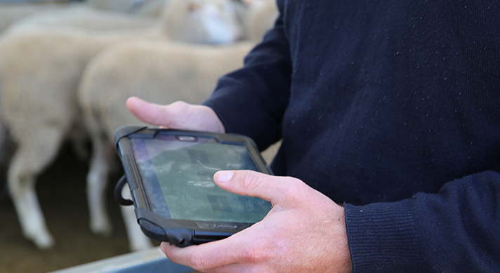 Your input needed to better manage biosecurity