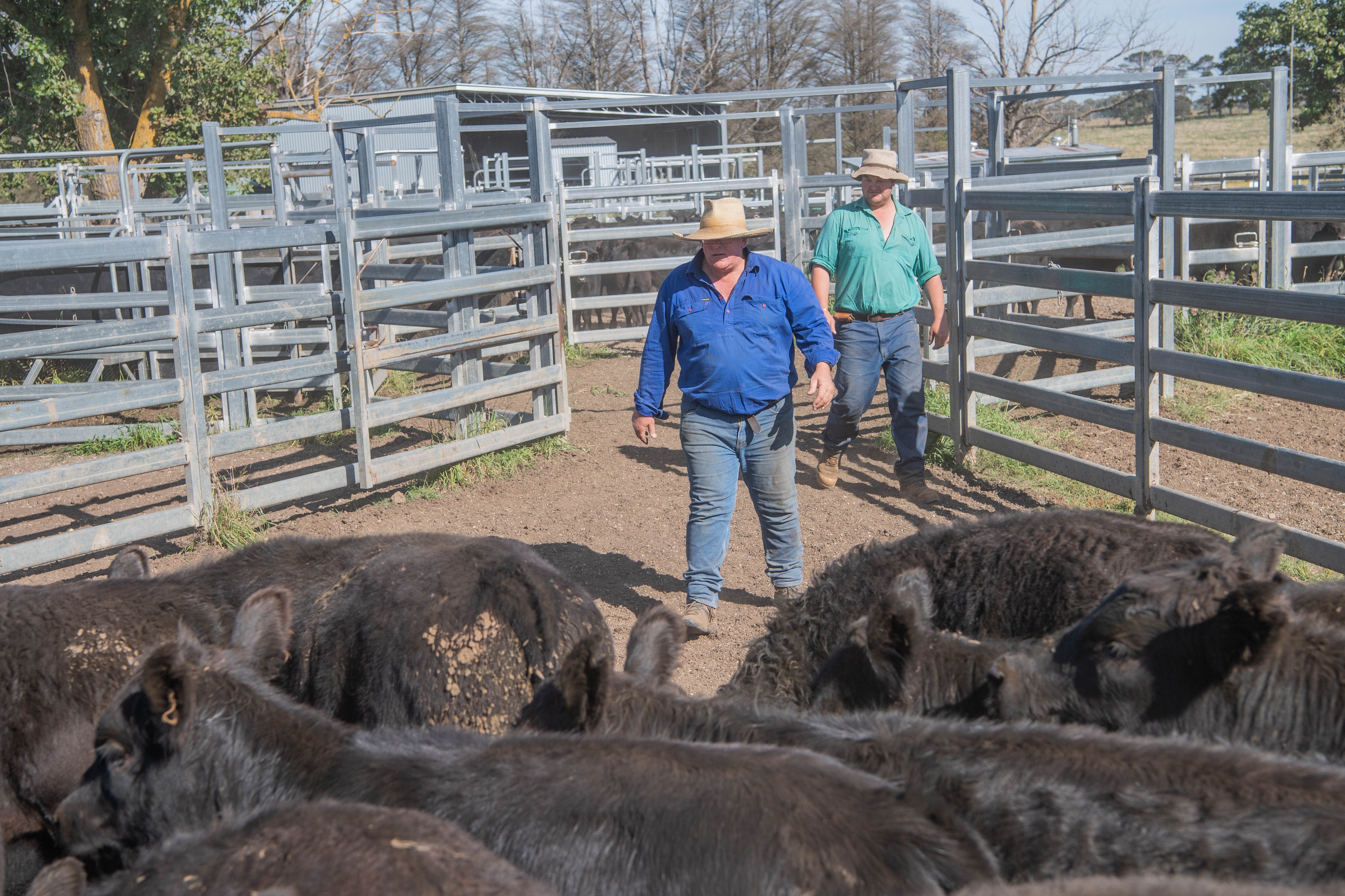 Minimise adverse impacts with low-stress handling