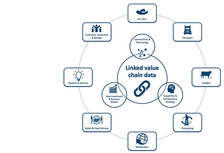 How does the Digital Value Chain work? How does the Digital Value Chain work?