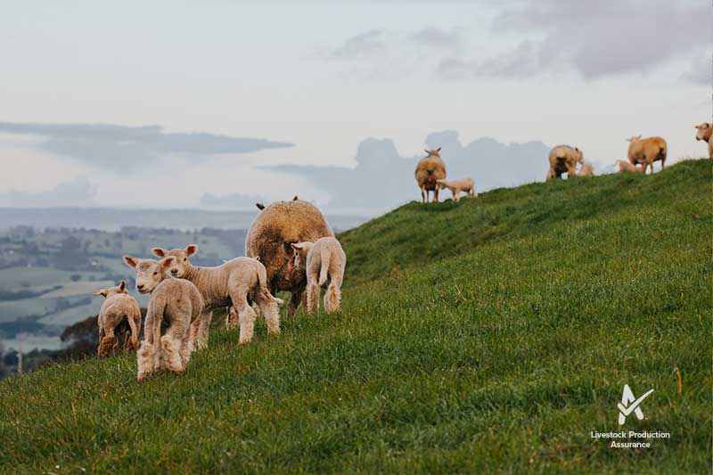 Livestock Production Assurance (LPA) Integrity Systems