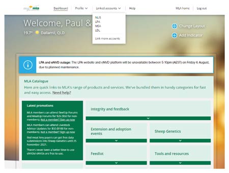Step 11: Once your accounts are linked, you can access them from the myMLA dashboard whenever you are logged in.