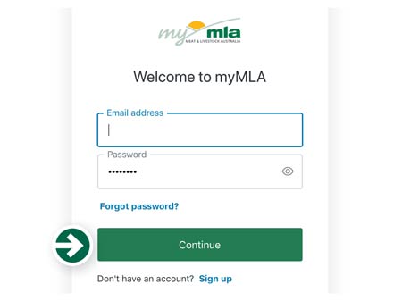 Step 8: Enter your email address and the new password you have just created, then click ‘Continue’
