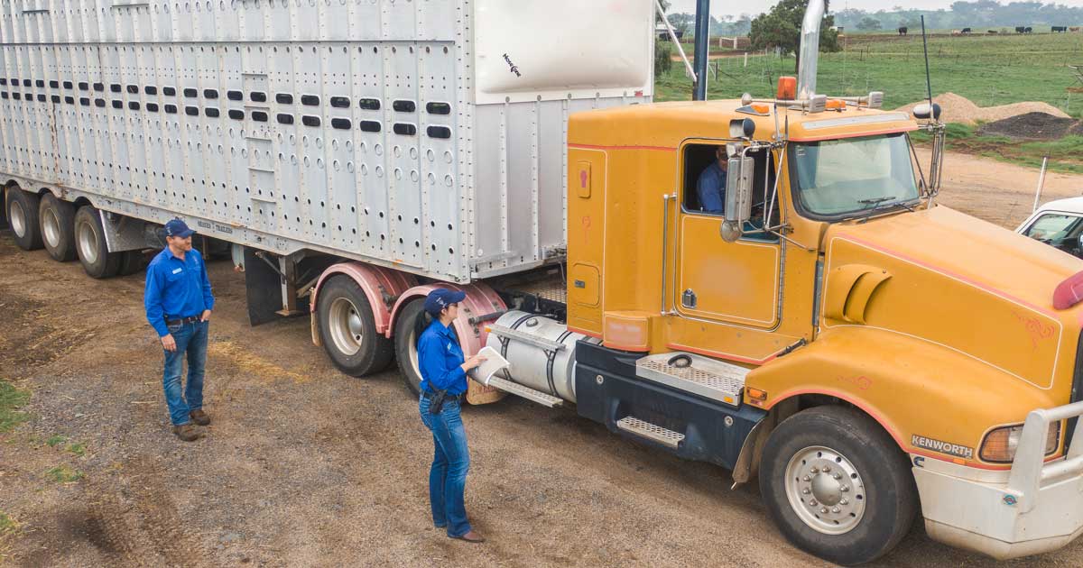 NSW’s Operation Stock Check relaunches to reduce livestock theft