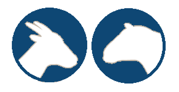 Sheep & Goat electronic identification